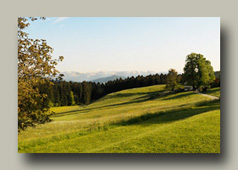 Scheidegg