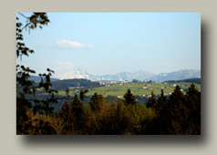 Scheidegg