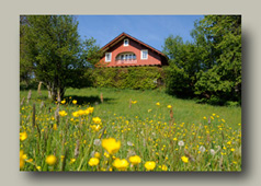 Scheidegg