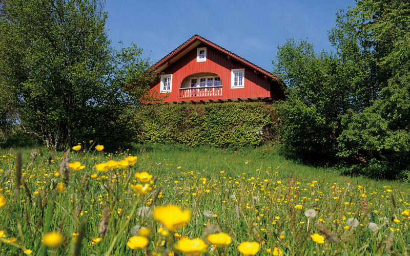Galeriebild 5