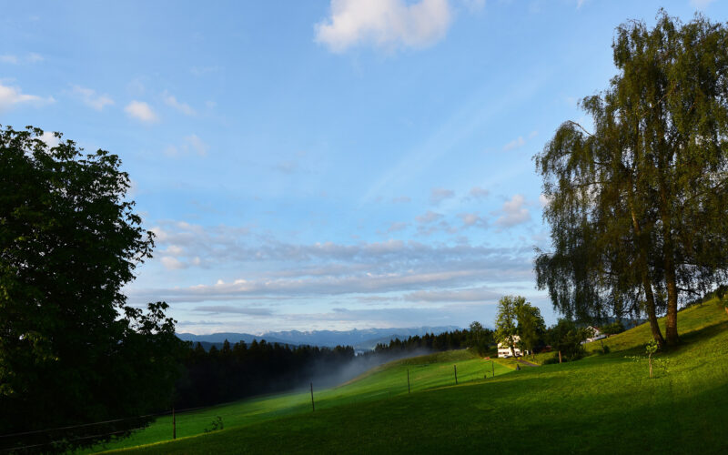 Galeriebild 7