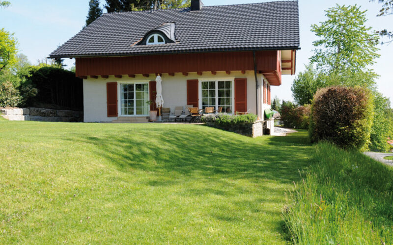 Galeriebild 1